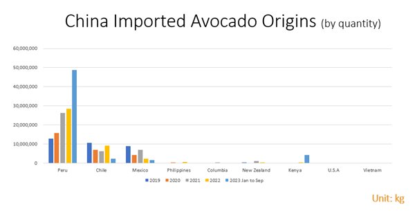 Experience the World of Avocasino: Global Online Casino Entertainment Awaits You